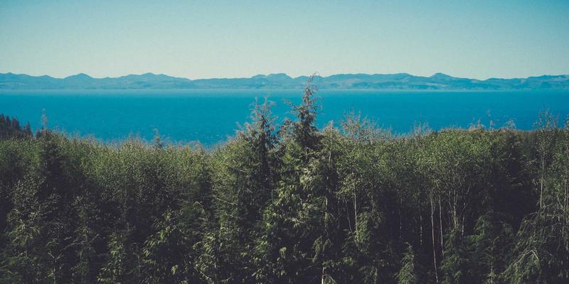 从赛博朋克风潮到百年大计：EPC总承包模式下建筑工程质量通病的深度防治与未来启示