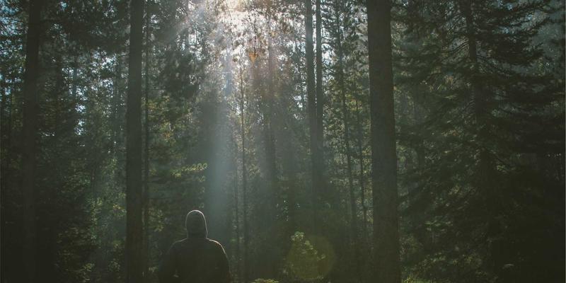 从钢筋水泥到霓虹光影:建筑工程安全管理如何护航赛博朋克风装修