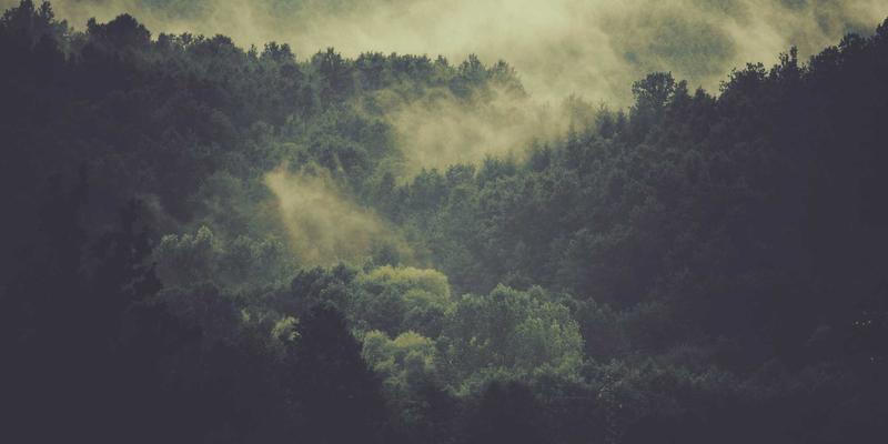 当赛博朋克美学遇见抗震韧性：未来建筑如何从结构加固迈向功能“快速重启”