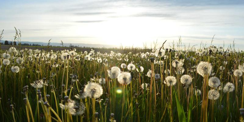 擎天基石：超高层建筑深基坑支护设计与施工的关键技术与协同管理